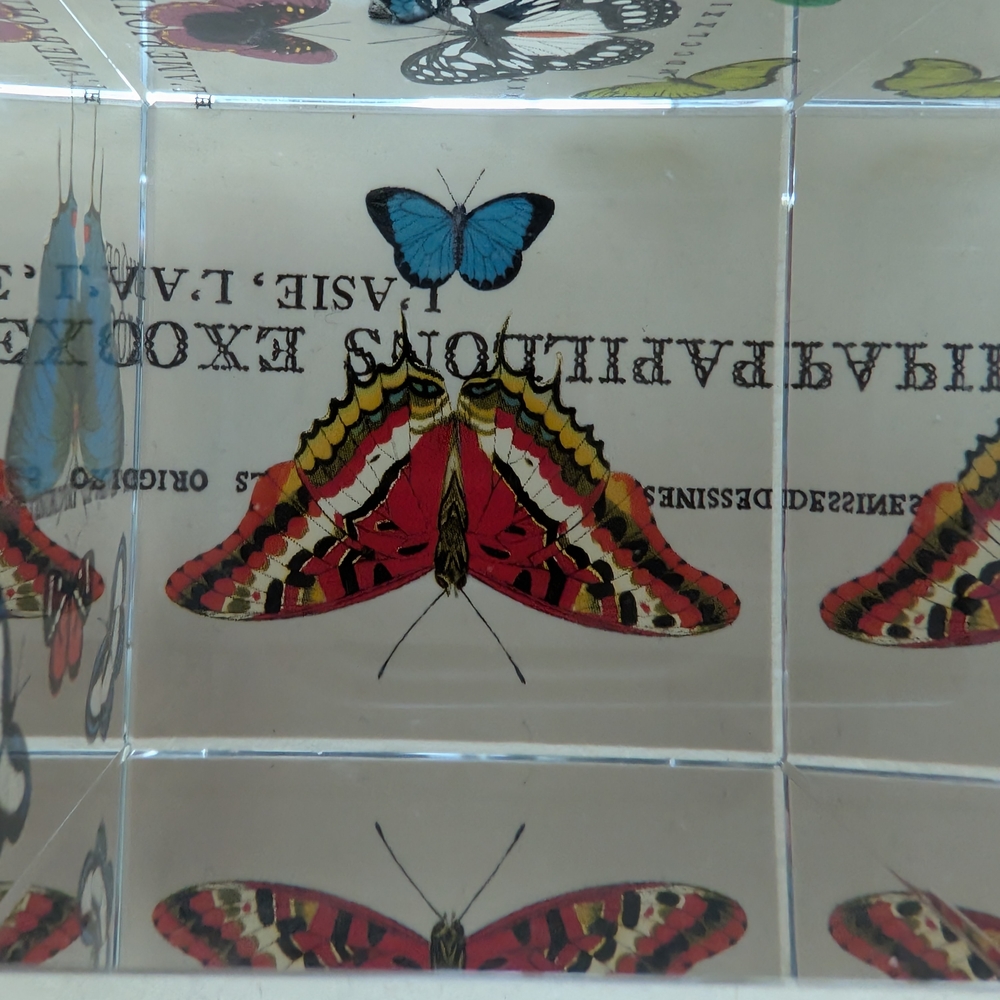 Fringe Studio Blue and Red Butterfly Decor Accents - Picture 3 of 5